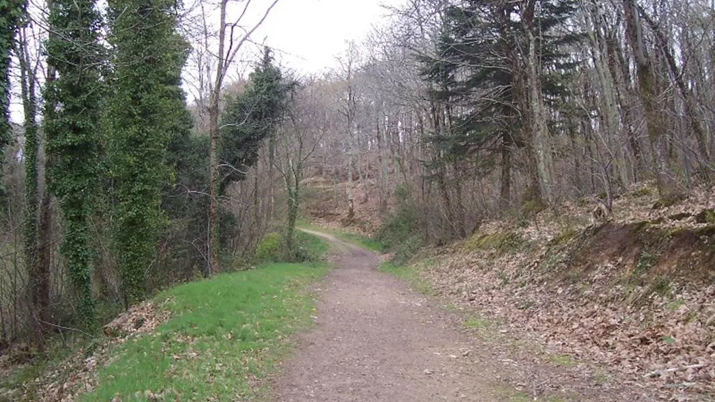 Bois de Kermen - Lanester - Morbihan Bretagne sud
