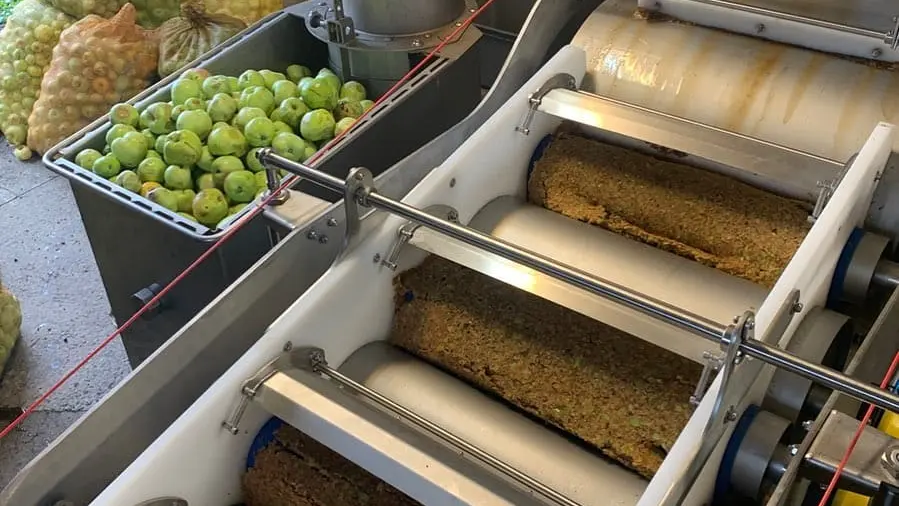 Le pressoir de la Villeneuve_Réguiny