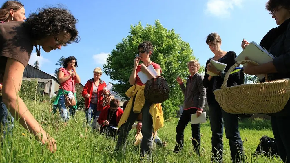 auxbonnesherbes bais