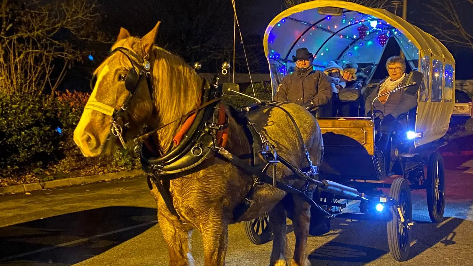 Balade en calèche à Noël