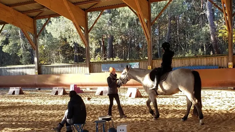 Chevaux_de_Brocéliande_centre_équestre_Tréhorenteuc
