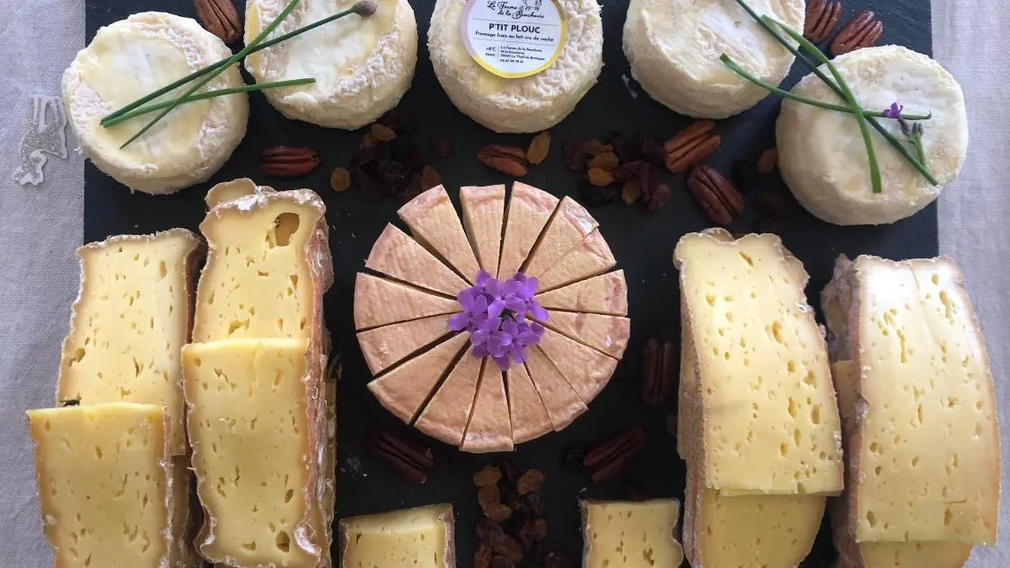 350524275_772428864587390_3322190208460072963_n