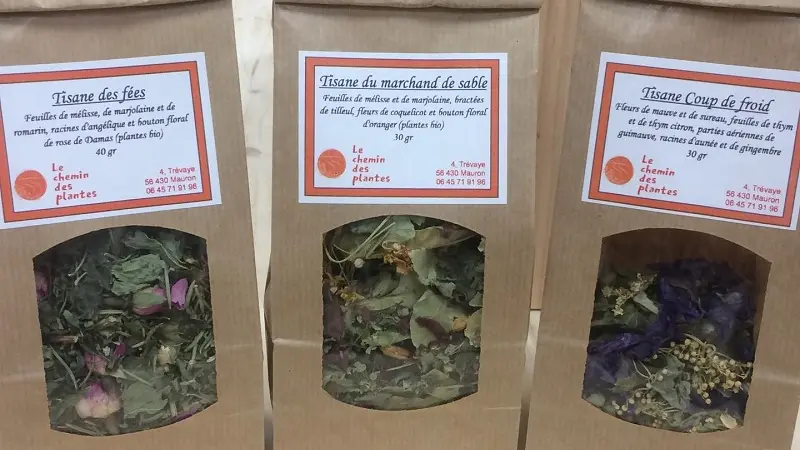 lechemindesplantes_tisanes_producteurlocal_Mauron_DestinationBroceliande