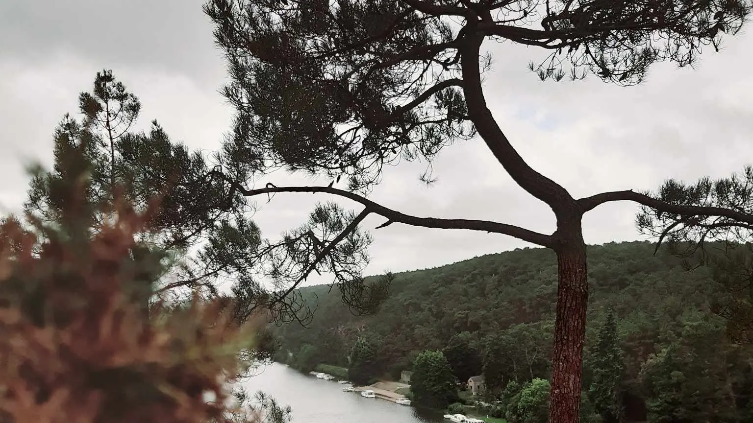 359943876_308743238260887_9176443967303601215_n