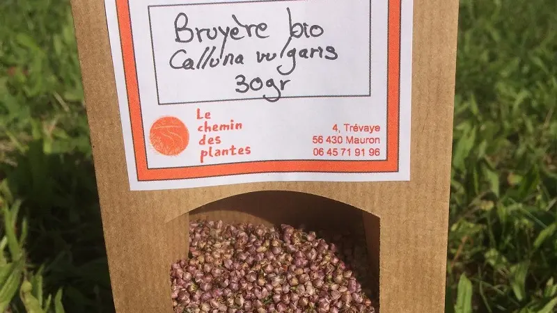 lechemindesplantes_tisanes3_producteurlocal_Mauron_DestinationBroceliande