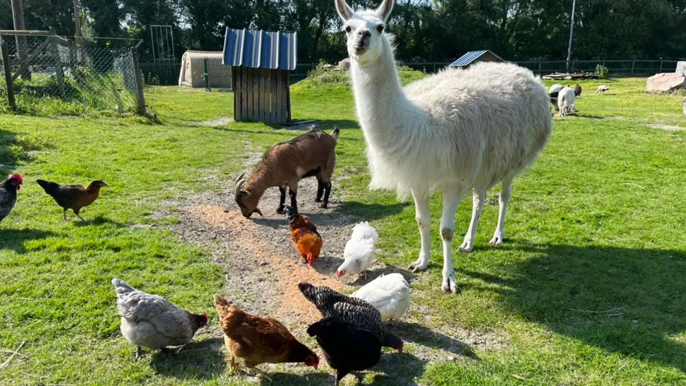 Camping de La Ferme du Point du Jour
