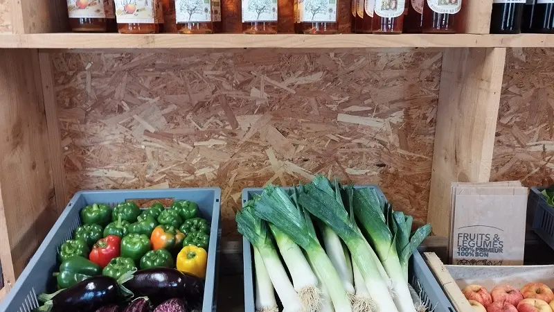 boutique_epicerie_maraichage_bio_ferme_coetbily_meneac_DestinationBroceliande
