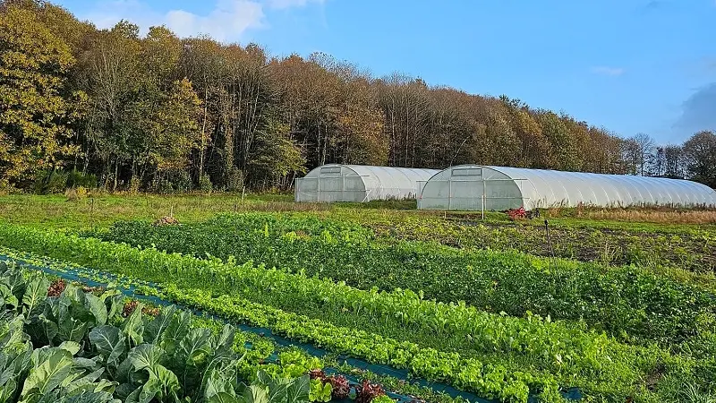 maraichage_bio_ferme_coetbily_meneac_DestinationBroceliande
