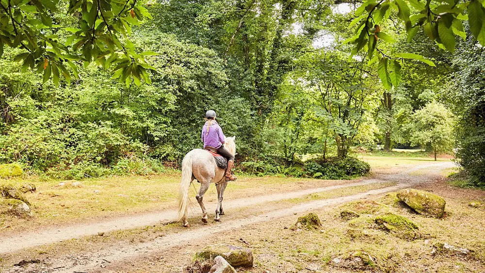 Morbihan Randos Services