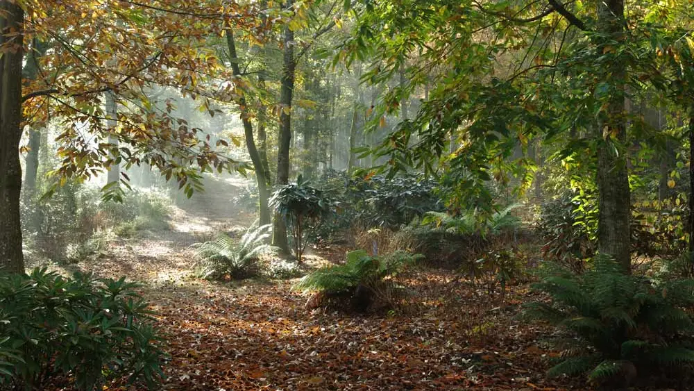 Domaine de Boutiguéry