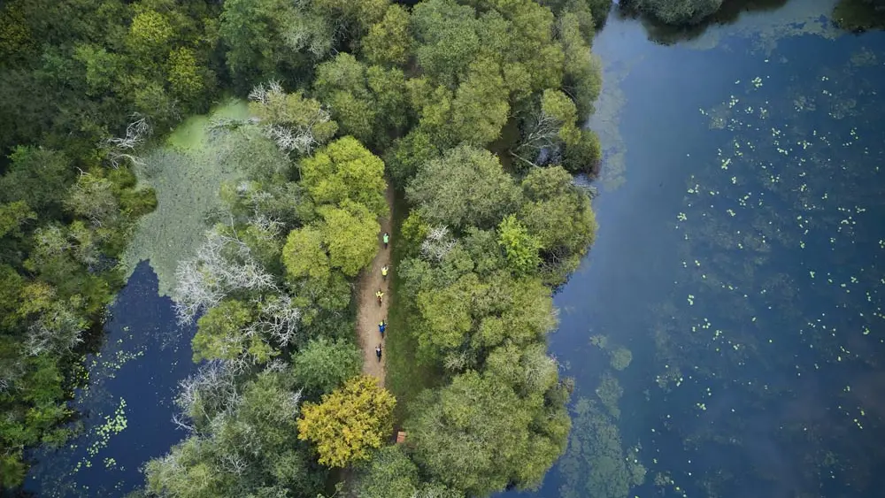La petite Reine de Rhuys