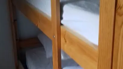 Verger_Location_Meublé_Erdeven_Morbihan_Sud