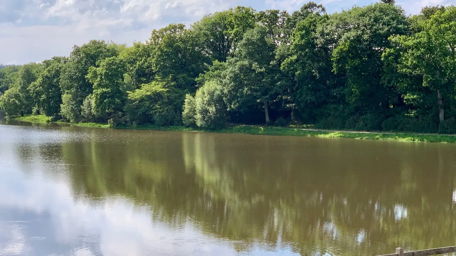 vue-sur-l-etang-maison-des-legendes-paimpont---2