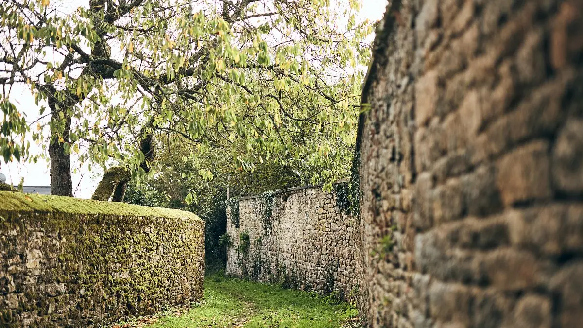A la découverte du patrimoine de Léhon_Chemin Enfer, vue avec ruines_crédit Alexandre Lamoureux_validité_31102030
