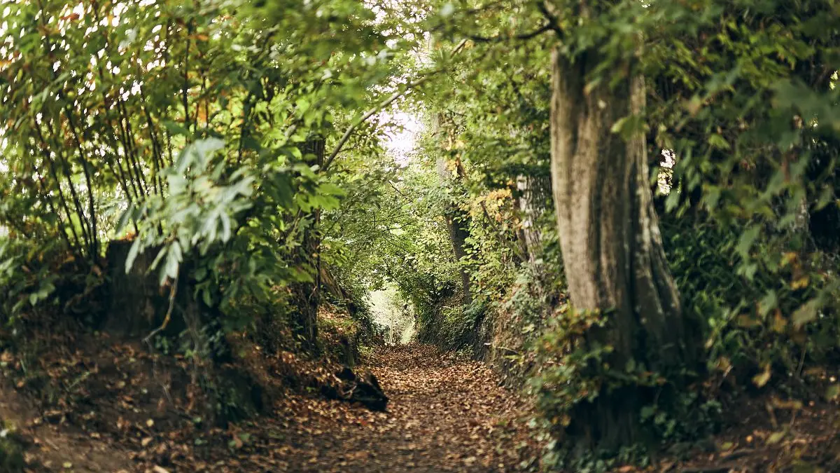 A la découverte du patrimoine de Léhon_Chemin Enfer_crédit Alexandre Lamoureux_validité_31102030