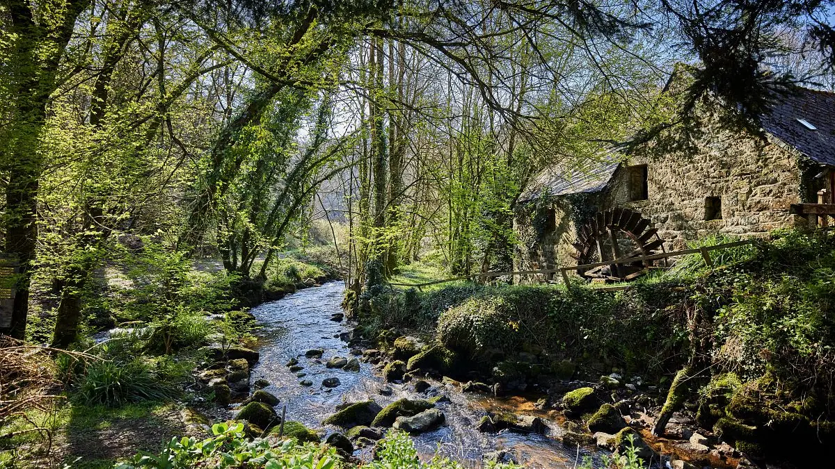 A la découverte du patrimoine de Quintin_Le moulin de la Perche_crédit Alexandre Lamoureux_validité_31102030