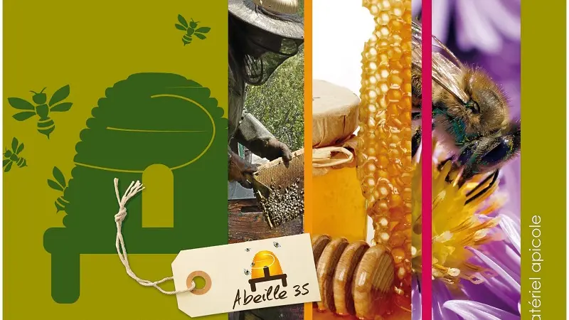 Abeille35-1
