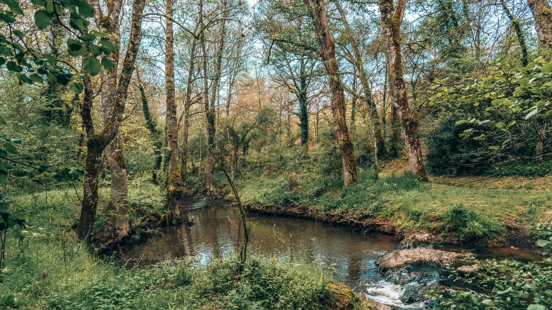 Espace naturel Vallée du Canut