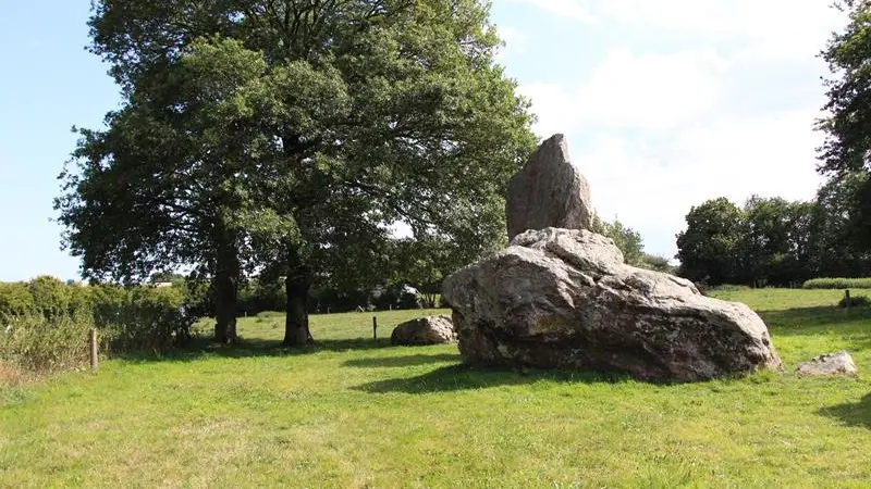 Aligmenents megalithiques de Lampouy Medreac