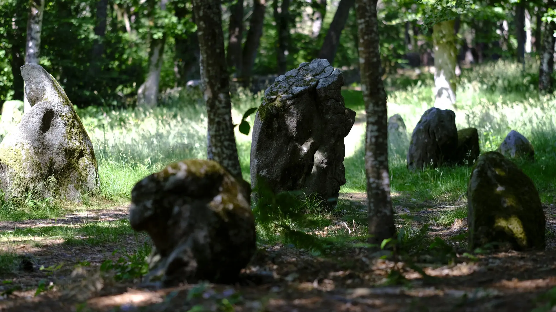 Alignements du Petit Ménec - André Polkowski 2021 - 015.JPG_compressed