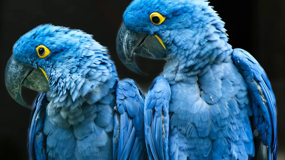 Les Terres de Nataé