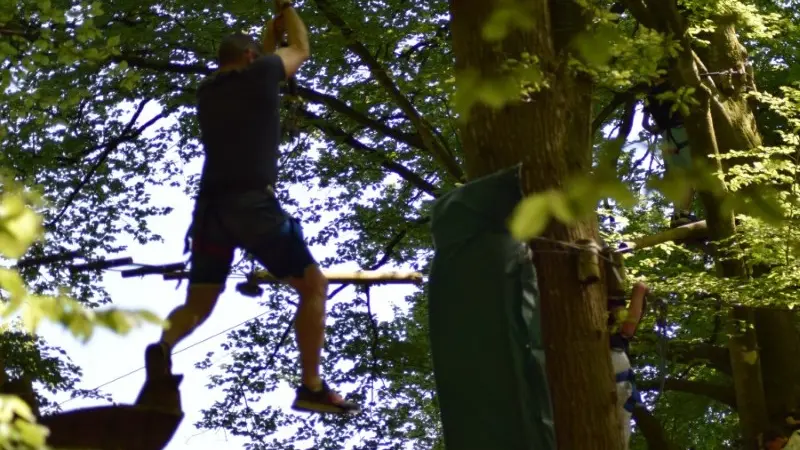 Tyrolienne - Réception