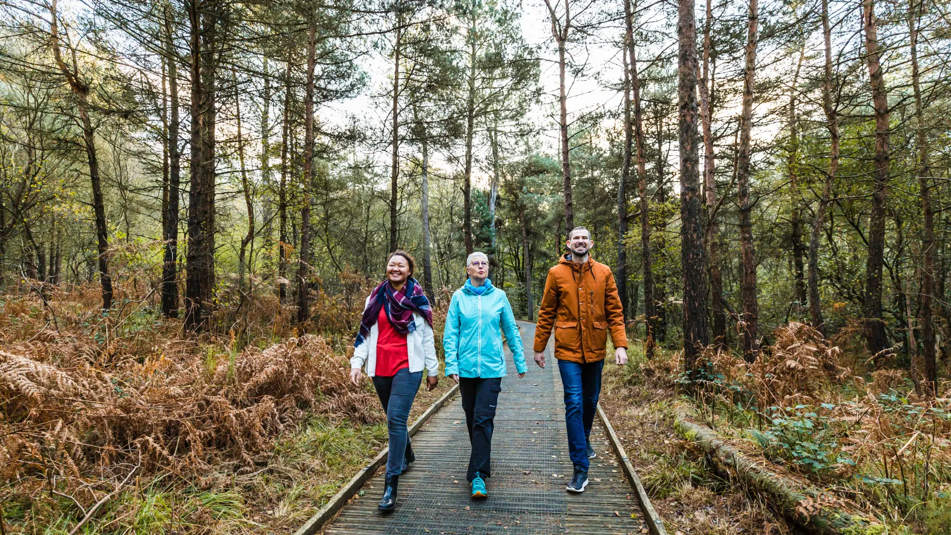 Avaugour-pmr-L'Oeil de Paco - CAD