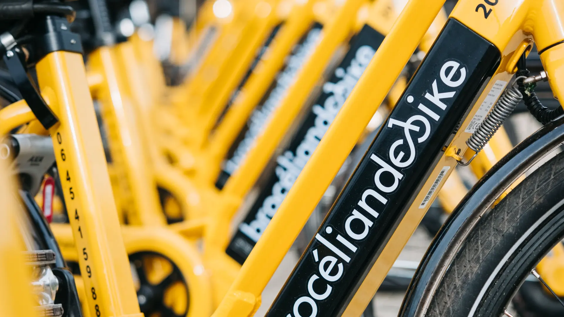 BBT - ©Tourisme Bretagne - Nicolas DEQUIN -004