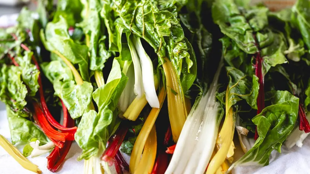 BD_La_Matz_-_Julien_Mota-47