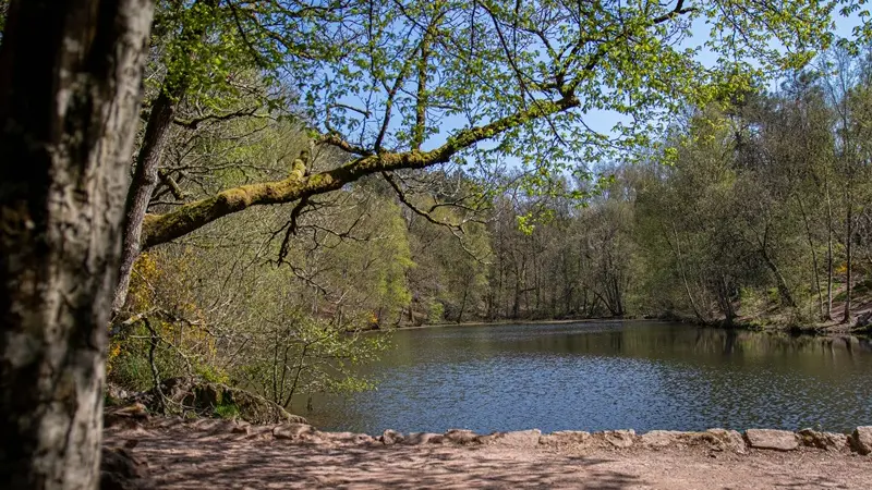 miroir au fée - val sans retour - Tréhorenteuc - Brocéliande - Bretagne