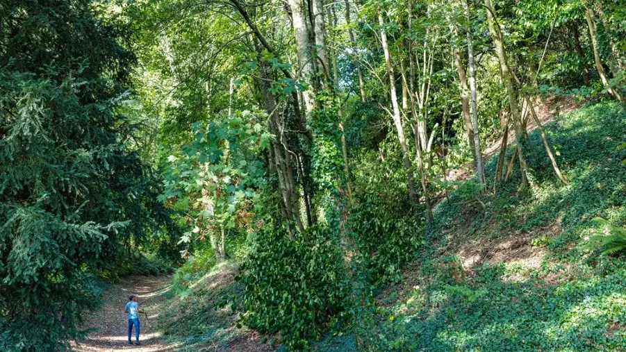 Balade au Buttes du Chatel