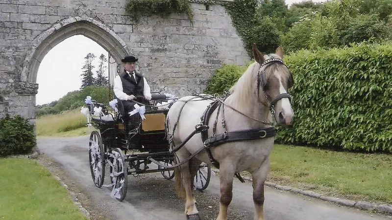 Balade en calèche Fordos mariage - Sérent Lizio - Morbihan - Bretagne