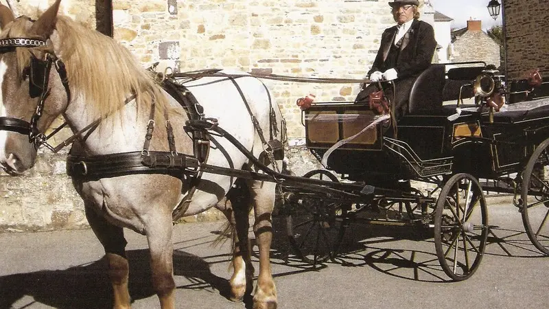 Balade en calèche Fordos mariage - Sérent Lizio - Morbihan - Bretagne
