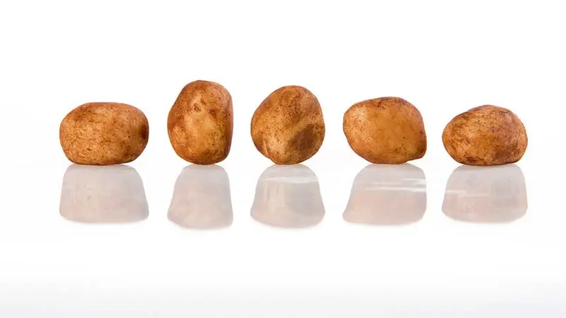 Biscuiterie la Maison Guella