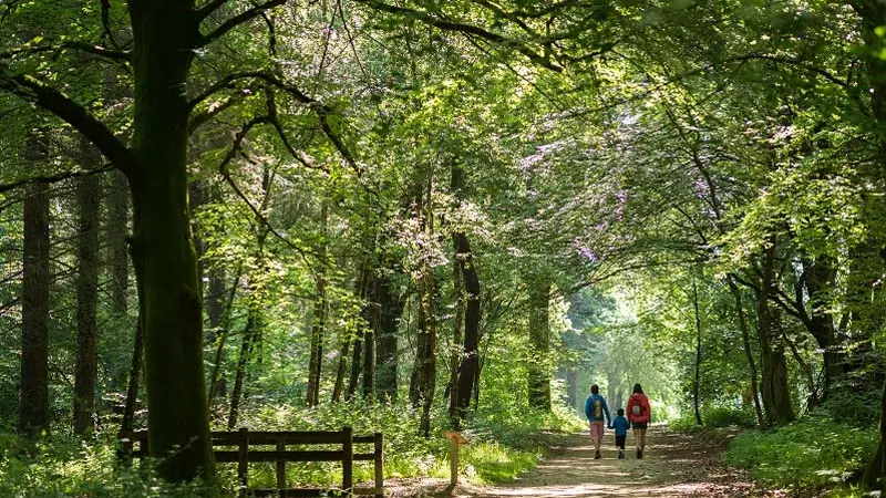 Office de Tourisme Falaises d'Armor