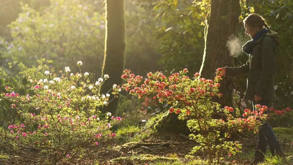 Domaine de Boutiguéry
