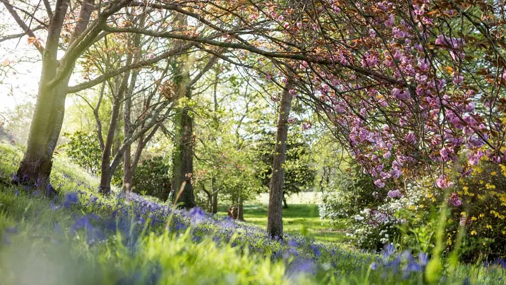 Domaine de Boutiguéry