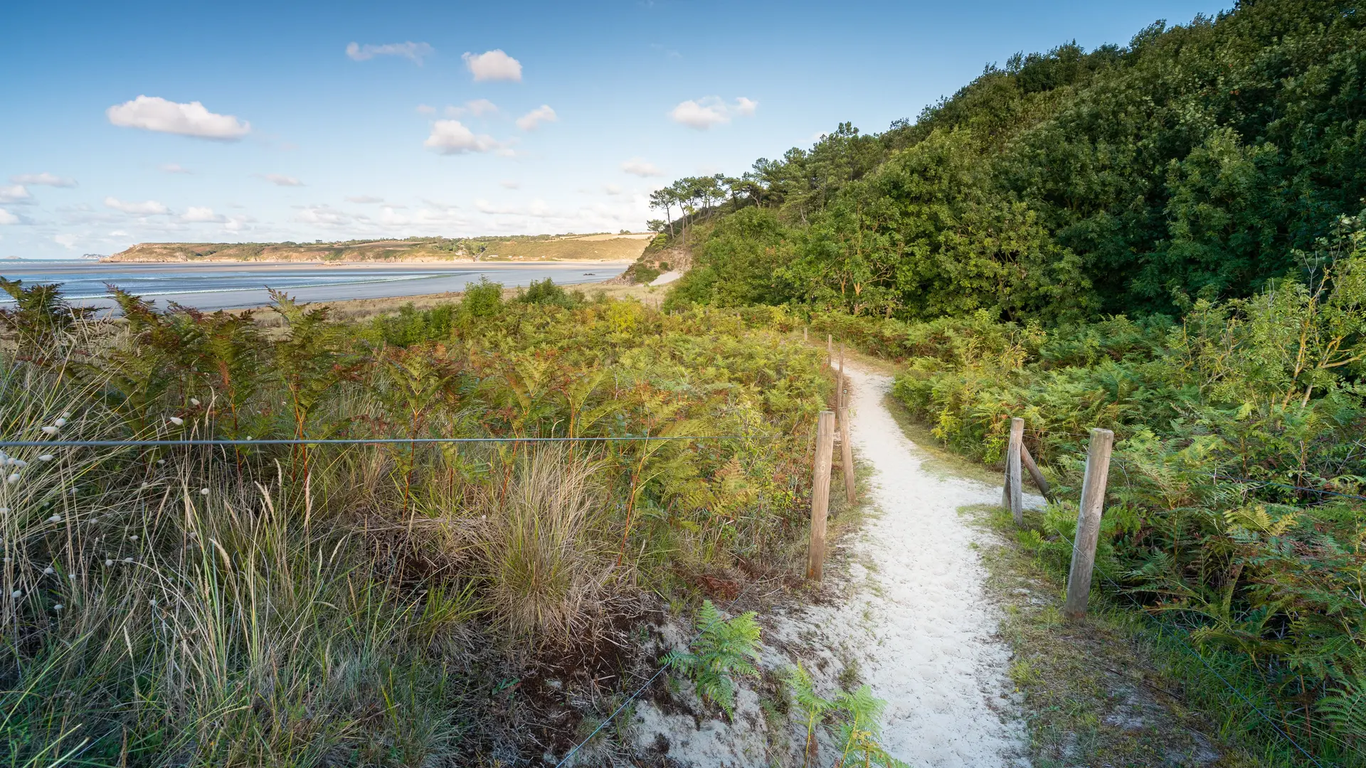 Dunes de Bon Abri_Hillion