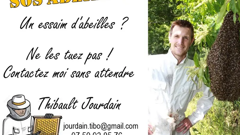 BZzzH Apiculture - Quily - Val d'Oust - Morbihan