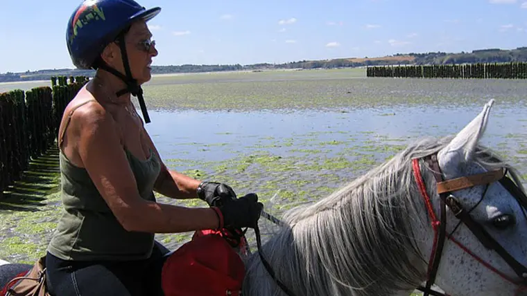 Traversée de la baie 3
