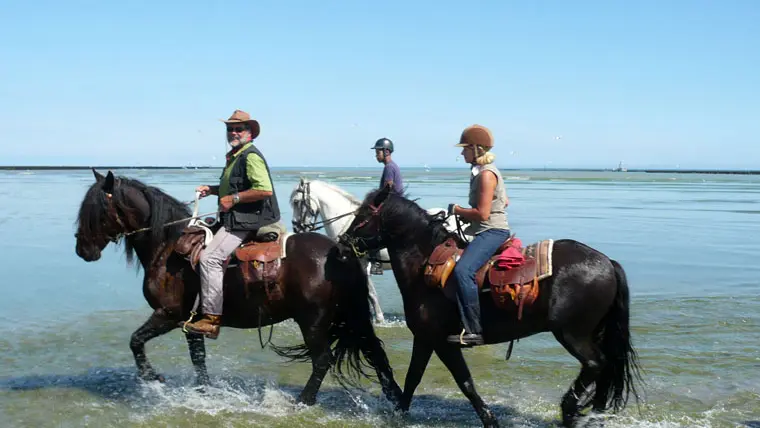 Traversée de la baie 4