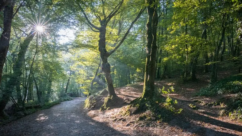Val-sans-retour_legende_Morgane_Tréhorenteuc_Paimpont_DestinationBrocéliande