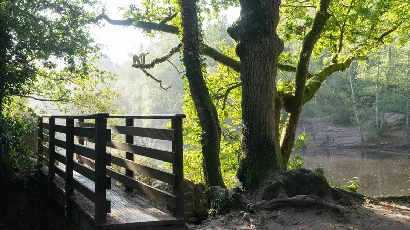 Val-sans-retour_Miroir-aux-fées_Tréhorenteuc_Paimpont_DestinationBrocéliande