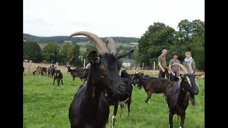 Catherine Pautret - Producteurs locaux - Bohal - Morbihan