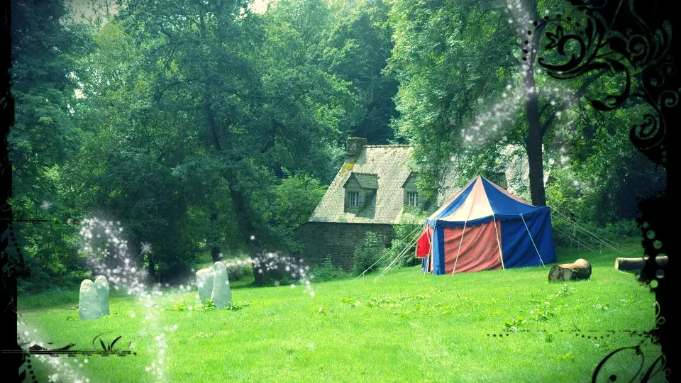 Camp du dragon gîte bonne année