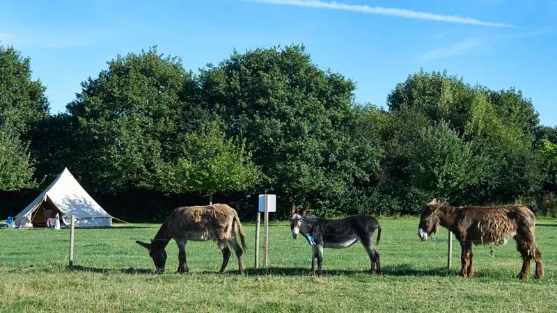 Camping à la Ferme de Croas Men