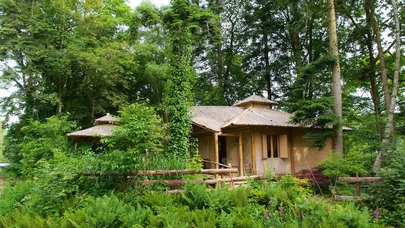 Cabane Bambou-3 Camping d'Aleth St-Malo de Beignon Brocéliande