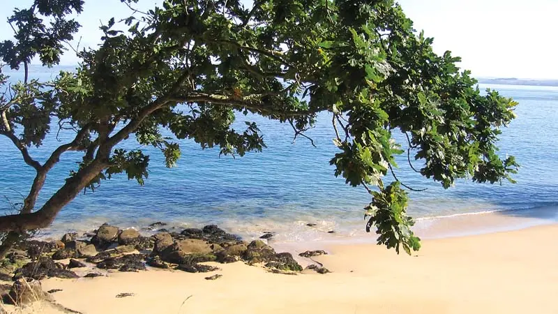 Camping de Trézulien