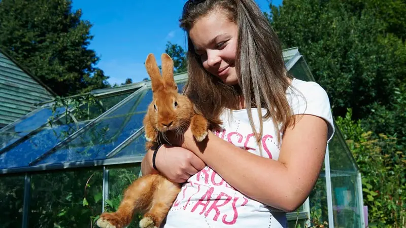 Camping la Ferme de Croas Men