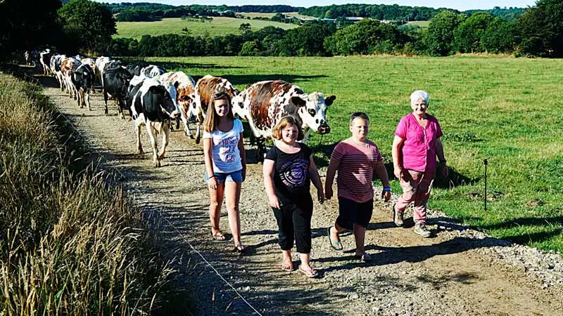 Camping la Ferme de Croas Men